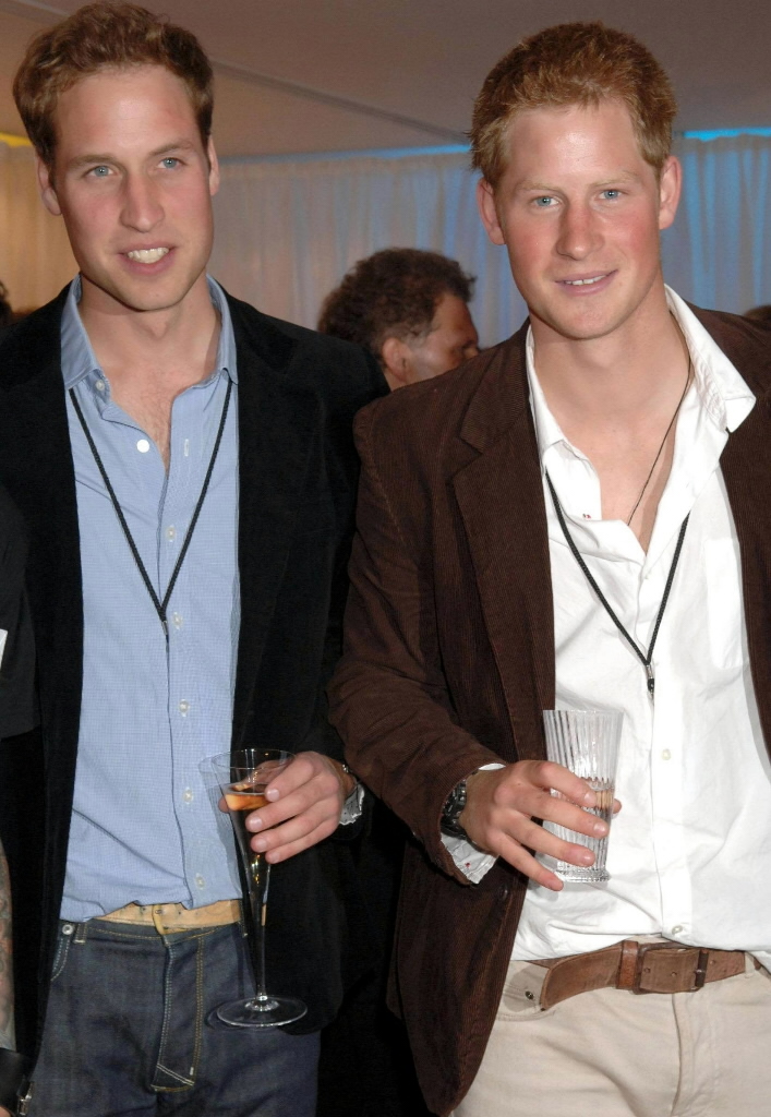 prince william and harry official photo. prince william and harry