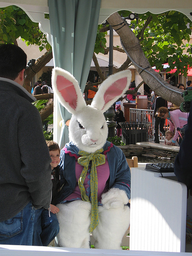 bunny1.jpg